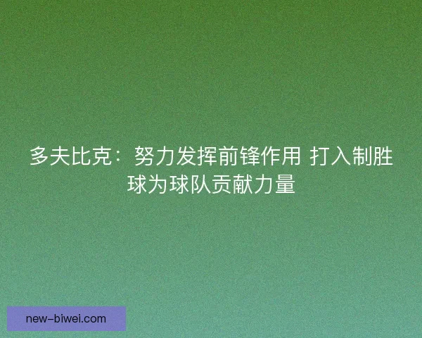 多夫比克：努力发挥前锋作用 打入制胜球为球队贡献力量